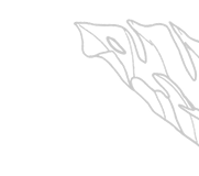 imgi 30 bg hero fix 2@2x 2 1 1